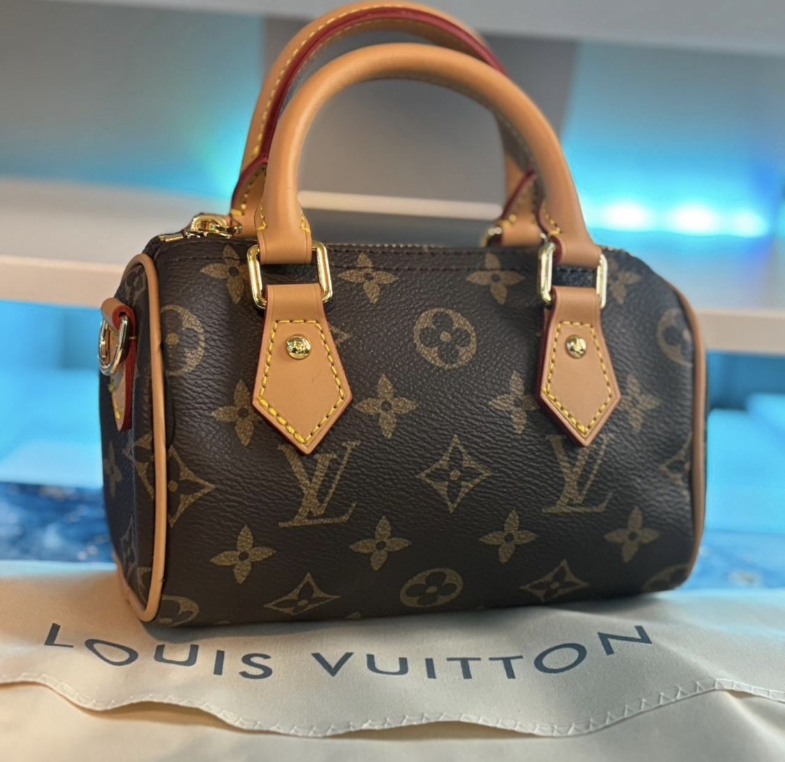 Louis Vuitton Bag 