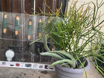 Plants pot tools