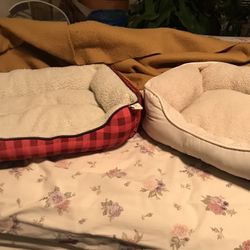 Two Small Dog Beds