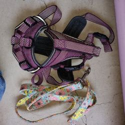 Dog Toys And Leash With Harness