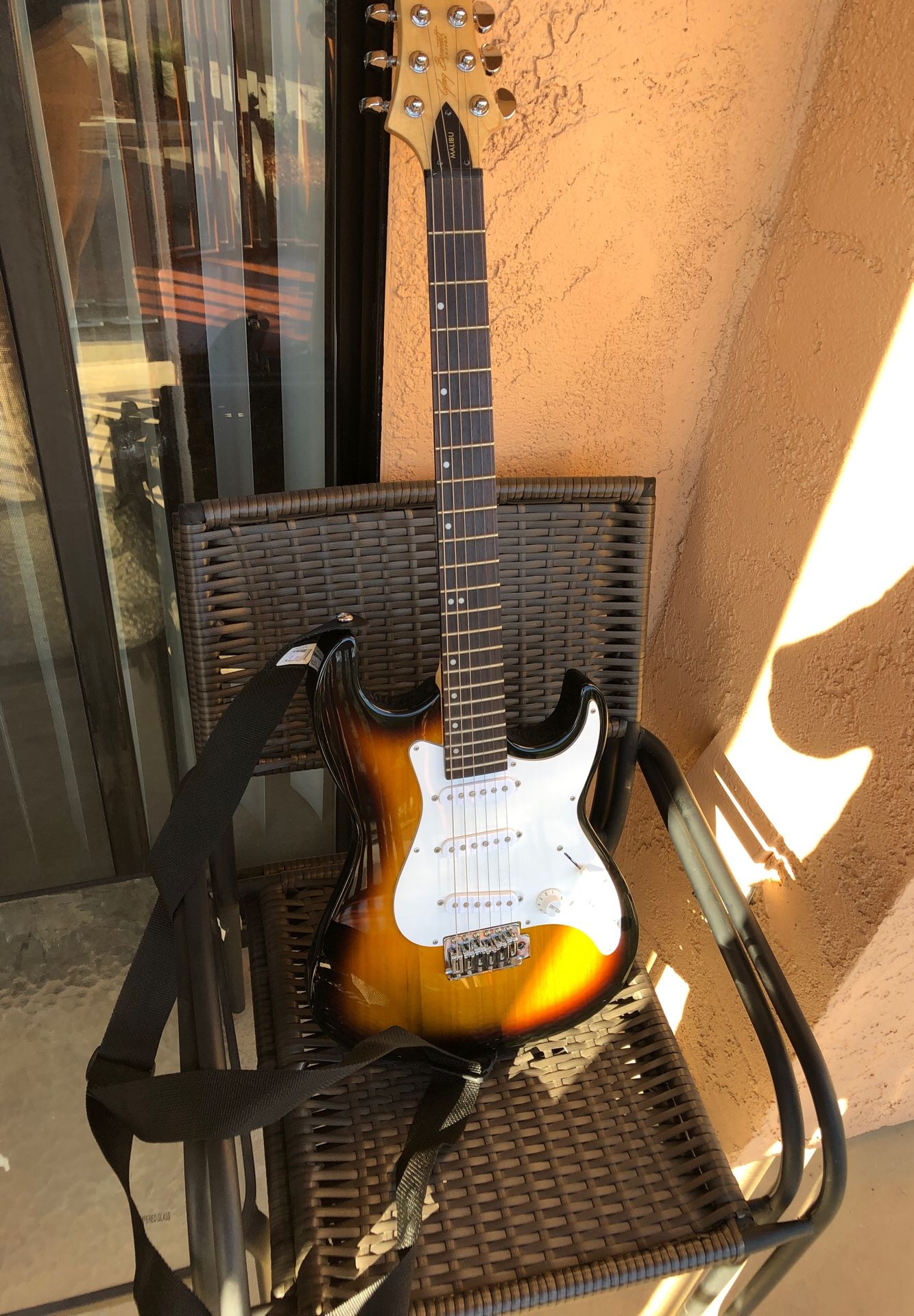 Fender Stratocaster Squier by Signature Series, designed by Greg Bennett