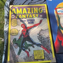 Amazing Spider-man Poster Feamed