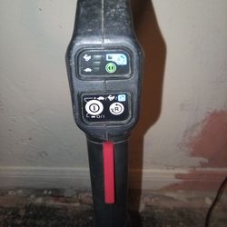 LXT 18V Lithium-Ion Brushless Cordless 13 in. String Trimmer,