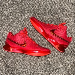 ($60 FIRM) Nike LeBron 21 James Gang Size 9.5 Men’s Basketball Sneakers