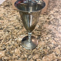 Silver Goblet