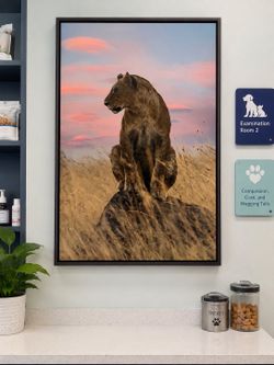 Stupell Industries Strong Lioness at Sunset wall art, featuring a photograph by Danita Delimont