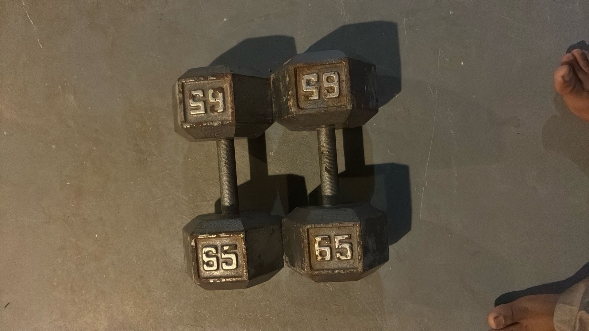 65 Pound Dumbbells