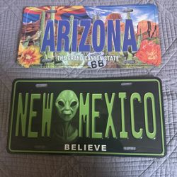 Two Collectible license Plates 