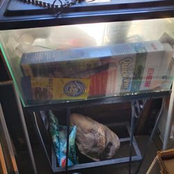 10 Gallon Fish Tank With Assessories