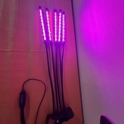 LED Plant growth light like New