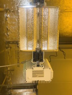 Gavita Grow Light 27
