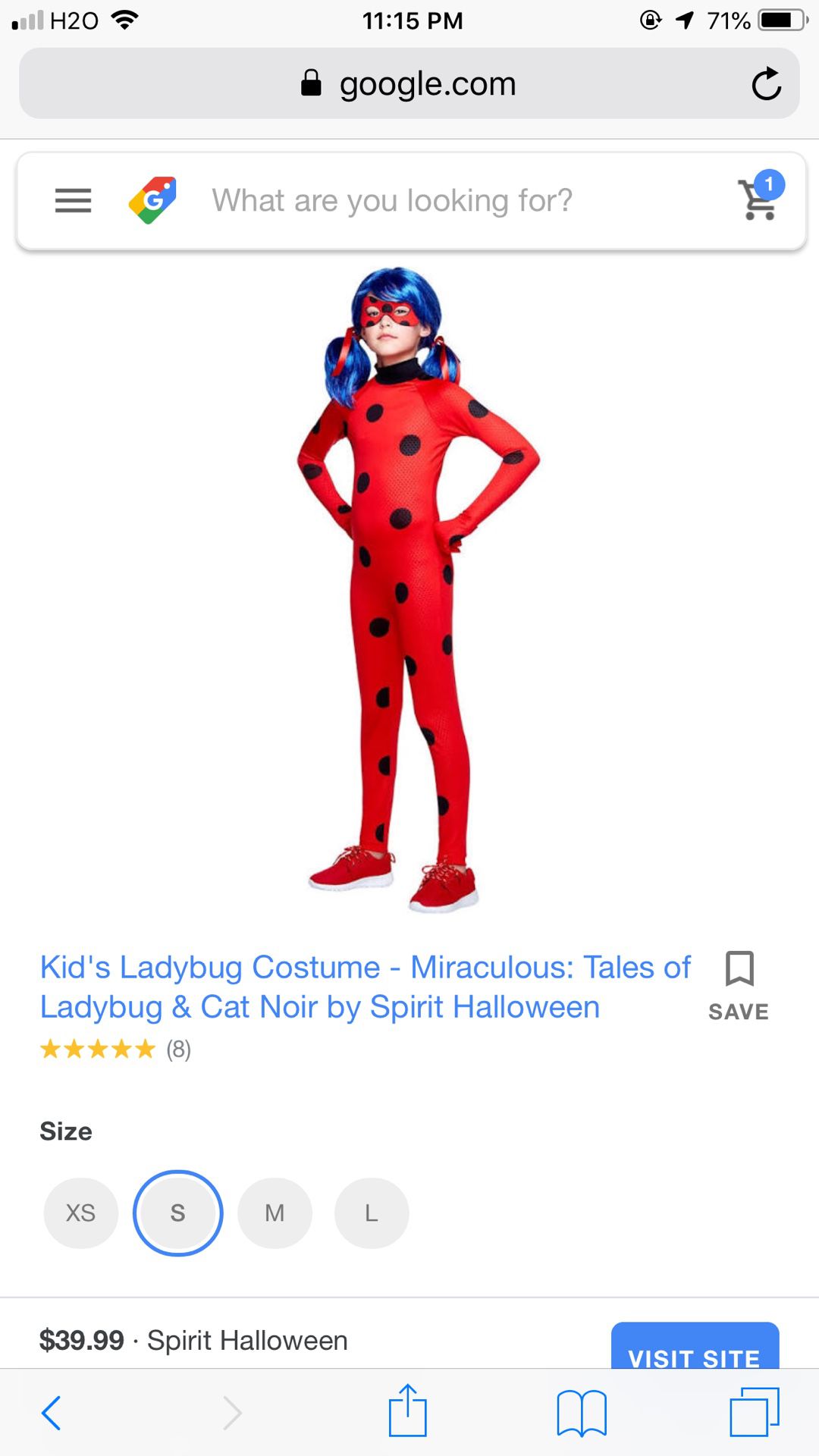 Ladybug Halloween costume