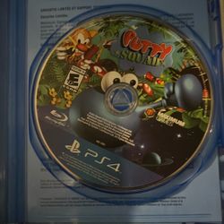 PS4 Game