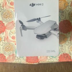 DJI MINI 2