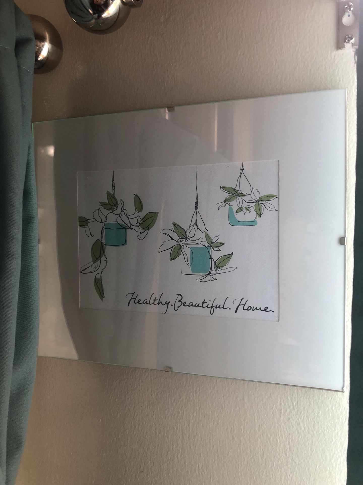 Plant picture in glass frame