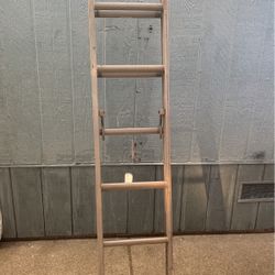 Extension Ladder