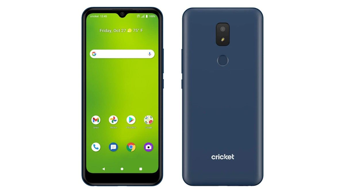 Cricket Icon 3