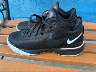 LeBron James Nike zoom NXXT Gen Size 10.5