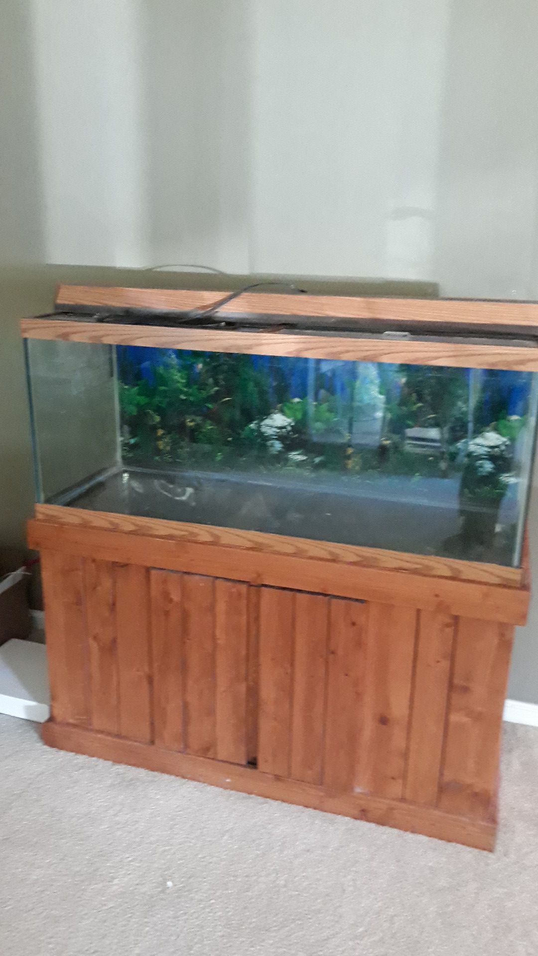 100 gallon fish tank and stand