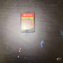 Minecraft Chip