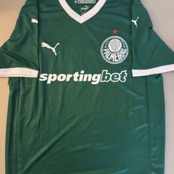 Palmeiras Jersey 