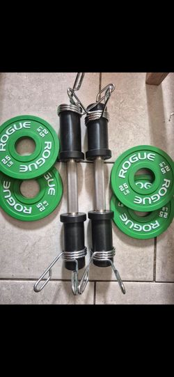 Rogue 15lbs dumbells weights 💪