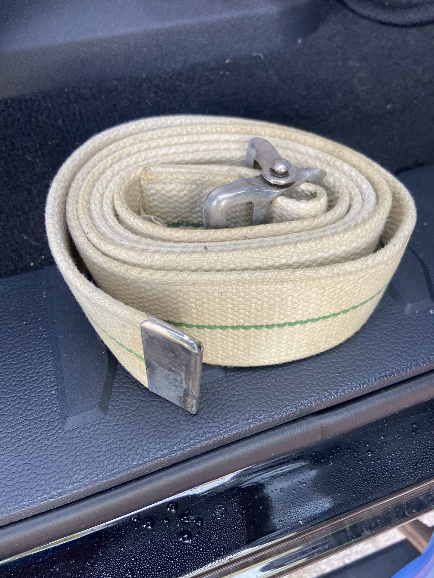 Patient Safety/Transfer/ Gait Belt