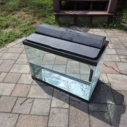 20 Gallon Fishtank