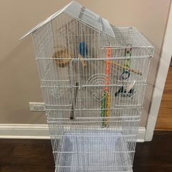 Bird Cage 