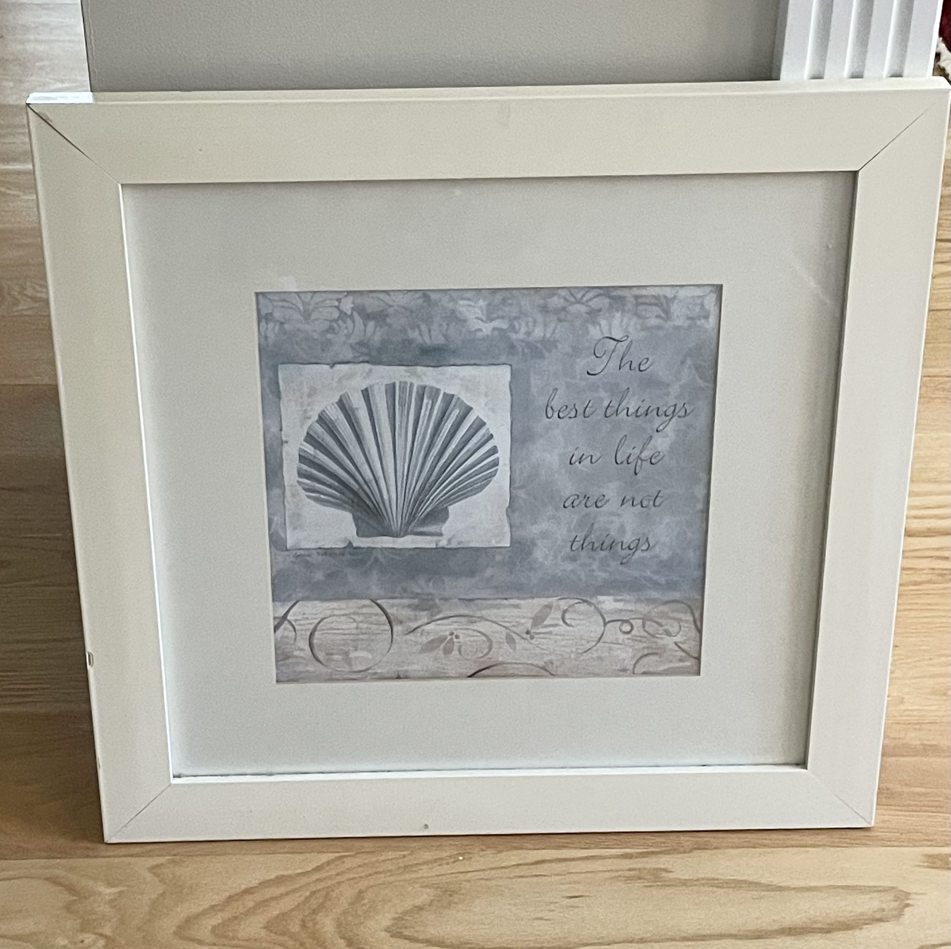 Seashell White Framed Picture Print