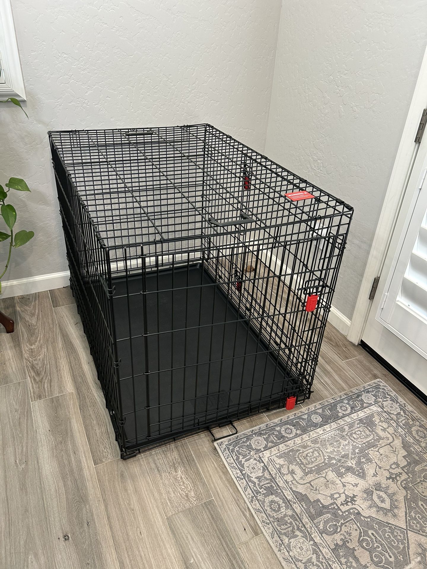 Dog Crate (Used) Kong