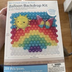 Rainbow Ballon Backdrop