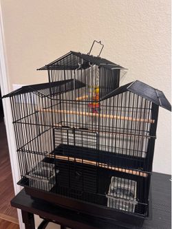 Bird cage