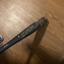 rawlings baseball bat 