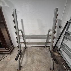 Squat Rack/Bars/Weights