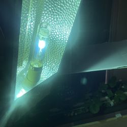 Grow Light 
