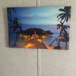 Battery Powered Light Up Picture 