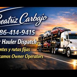 Car Hauler Dispatcher