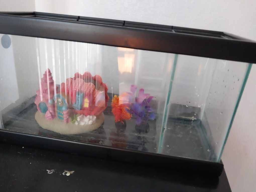 Free Fish Tank