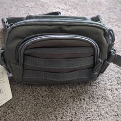 Eastwest Waist Crossbody Bag