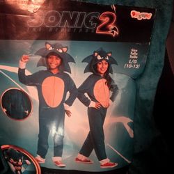 Sonic Kids Costume Size 10/12