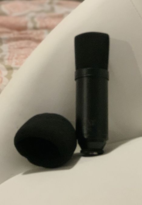 Microphone 