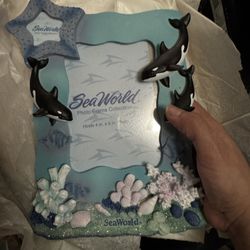 SeaWorld Frame