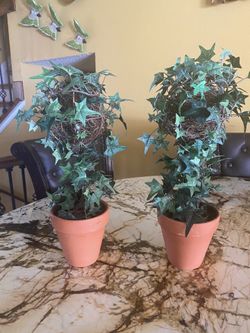 Two fake plants