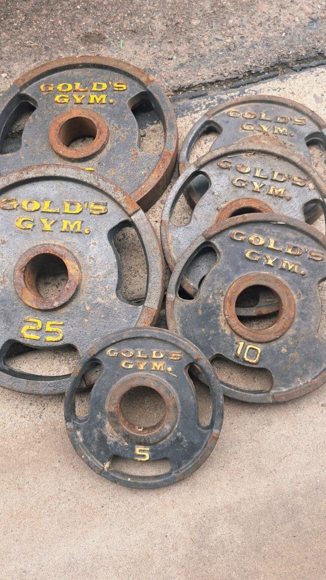 ($50)! Golds Gym Weights (2) 25lbs, (3) 10lbs, (1) 5lbs.