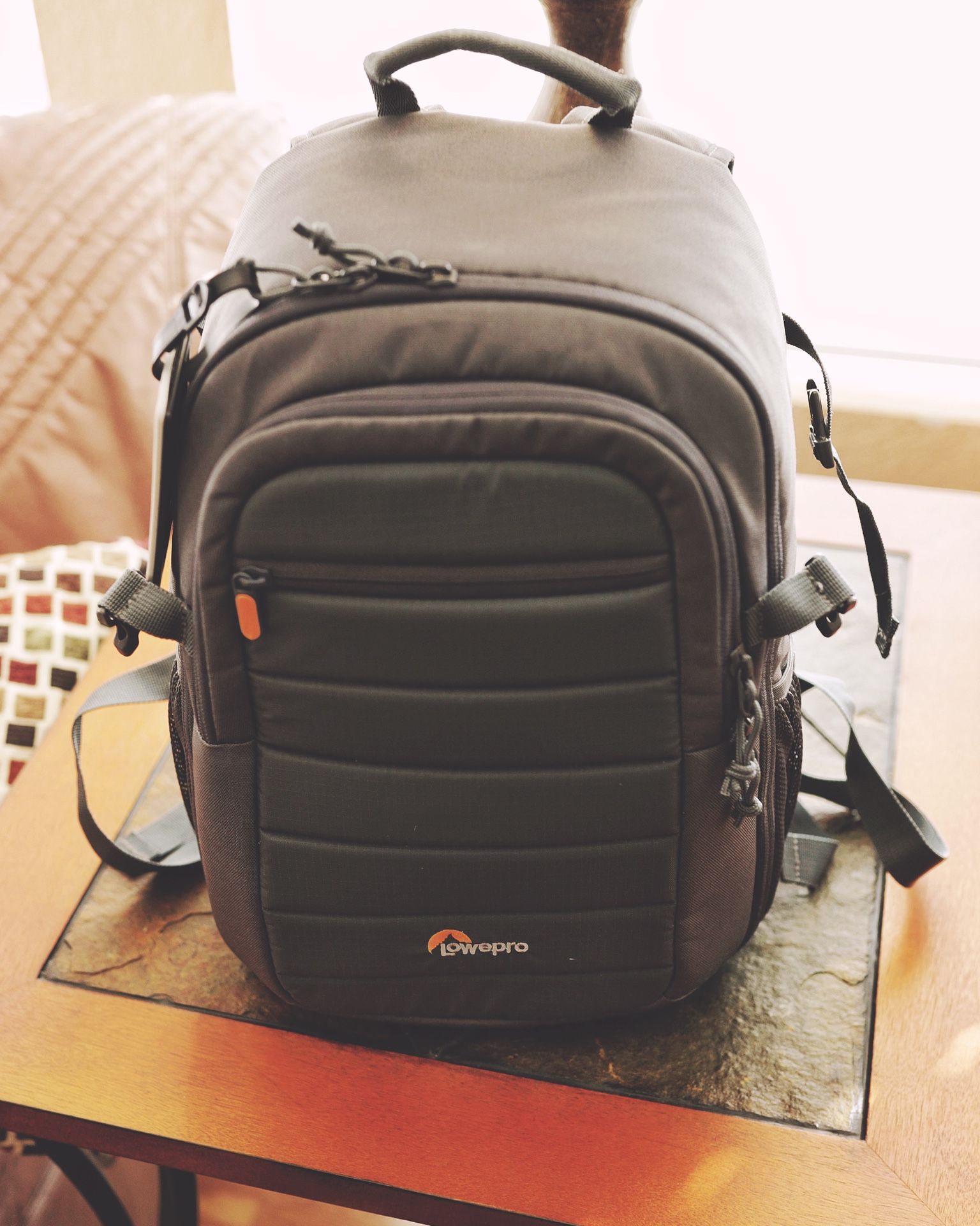 Lowepro DSLR/Mirrorless Camera Bag