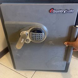 Sentry Safe Fire Safe