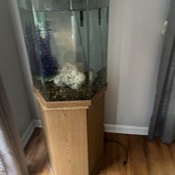 30 Gallon Aquarium 