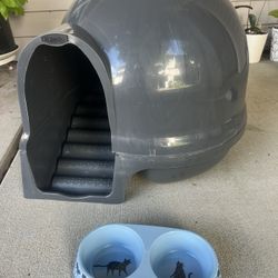 Cat Litter 