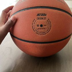 Wilson Evolution Basketball